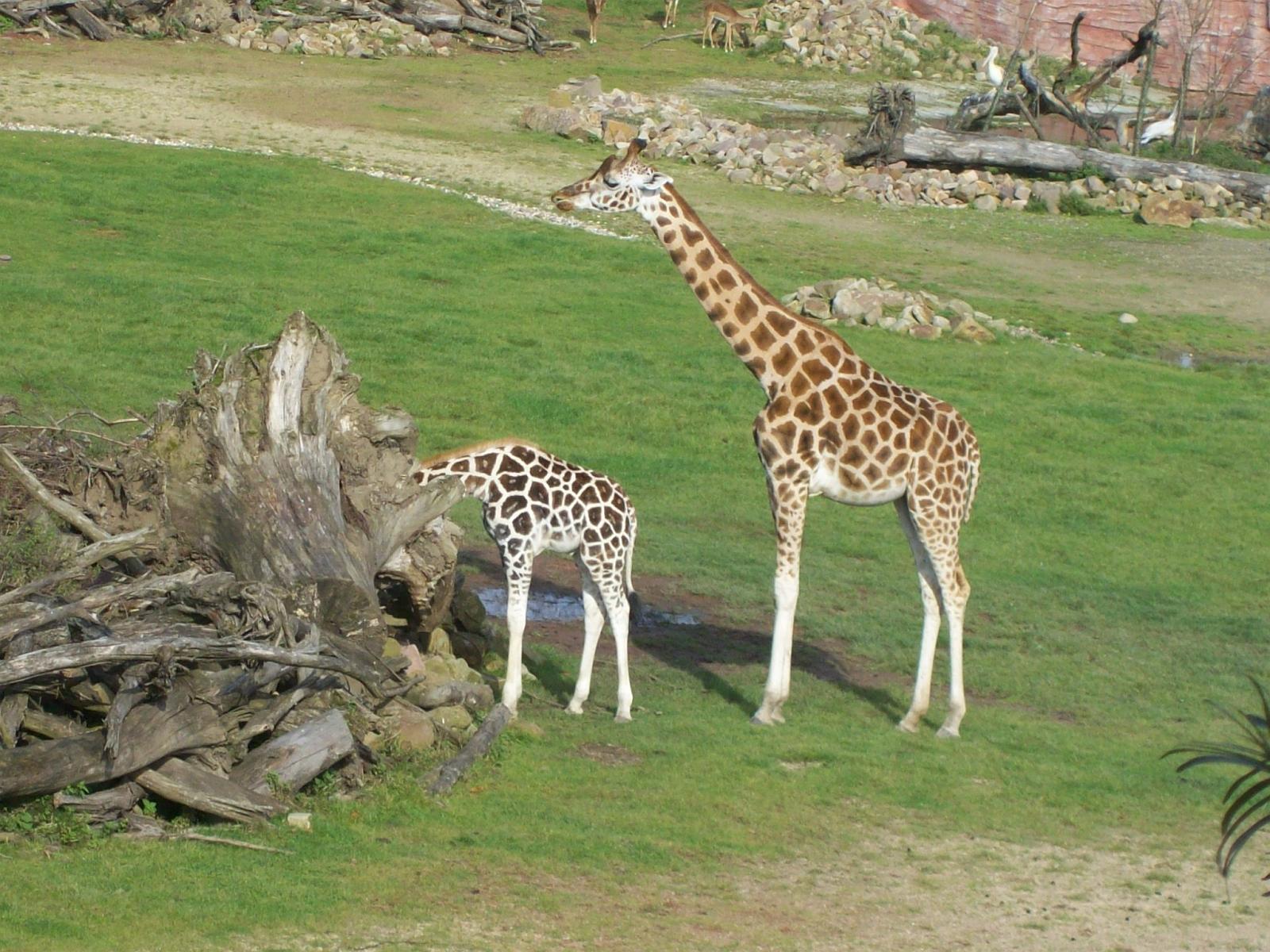 Zoom 18.10.2008-106.jpg